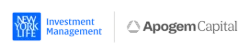 New York Life Investment Management